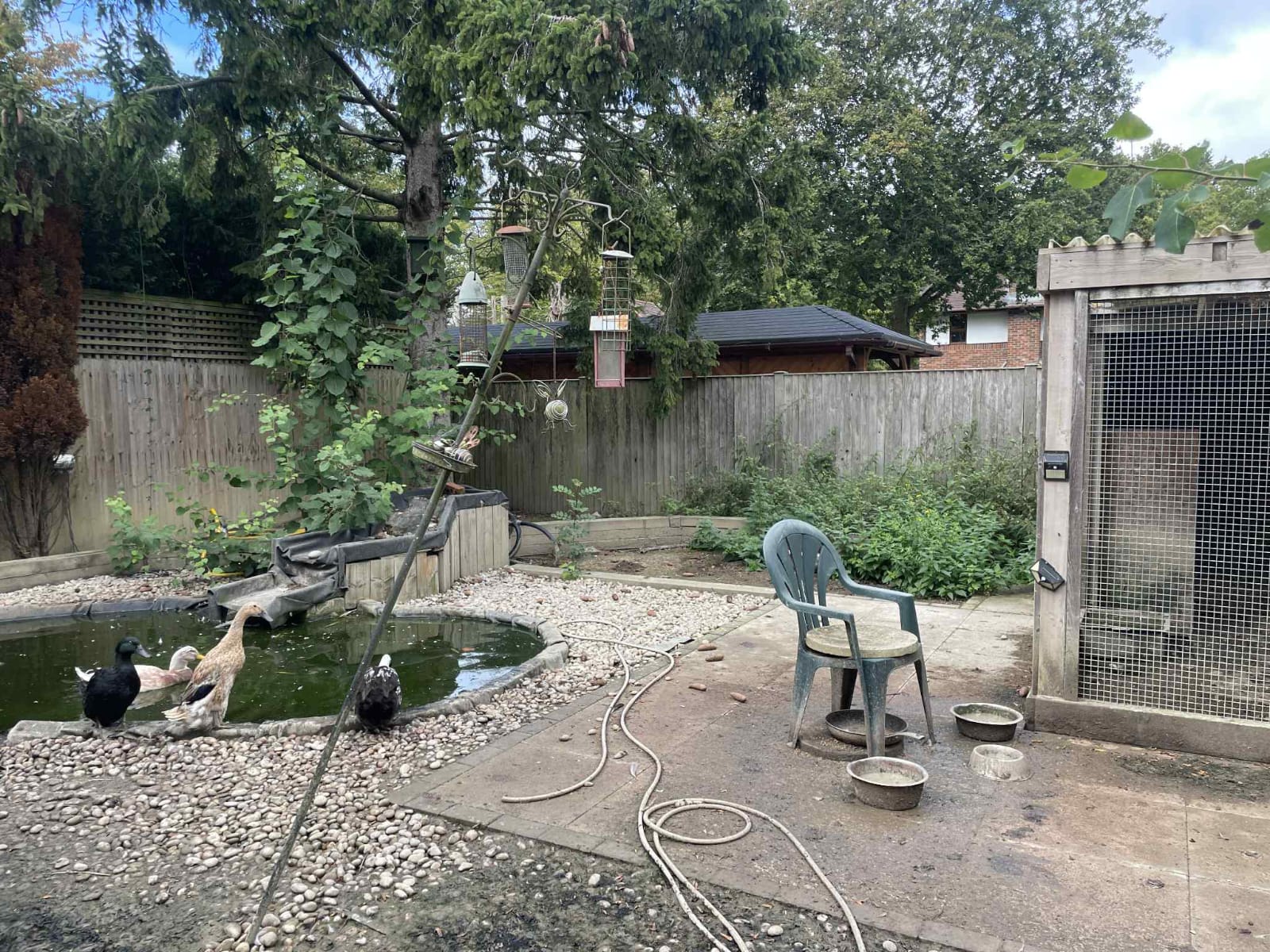 Transform Your Garden: A Step-by-Step Guide to Landscaping